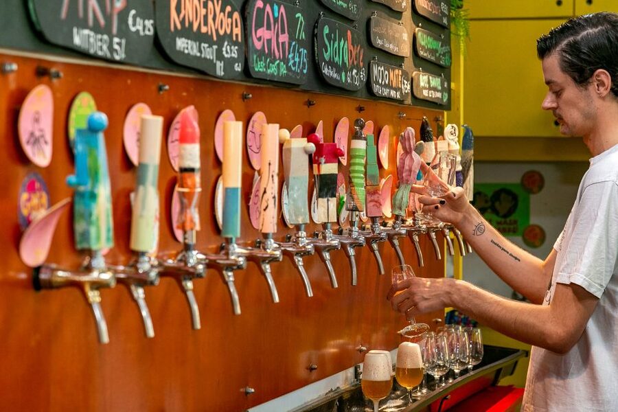 Amsterdam: Guided Craft Beer Brewery Bus Tour with Tastings - Best for who: beer lovers, social groups, and short attention spans