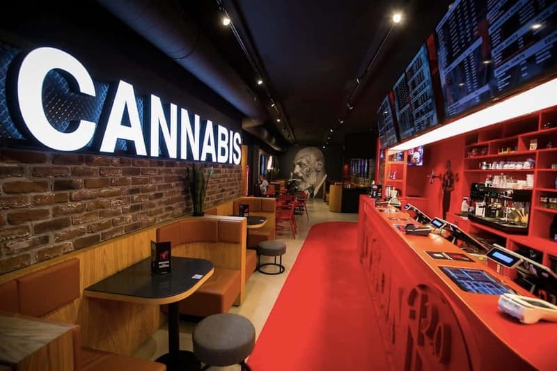 Amsterdam: Guided Ganja Walking Tour of Coffee Shops - Price and Value: What $27 Buys You (and What It Does Not)