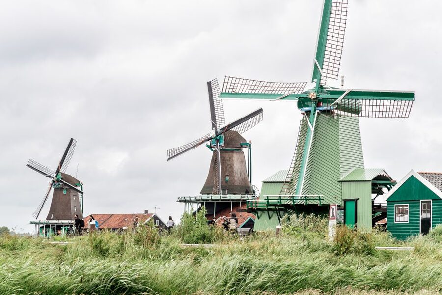 Amsterdam: Guided Zaanse Schans, Windmills & Cheese Tour - Price and Value: Why About $22 Can Be a Fair Deal
