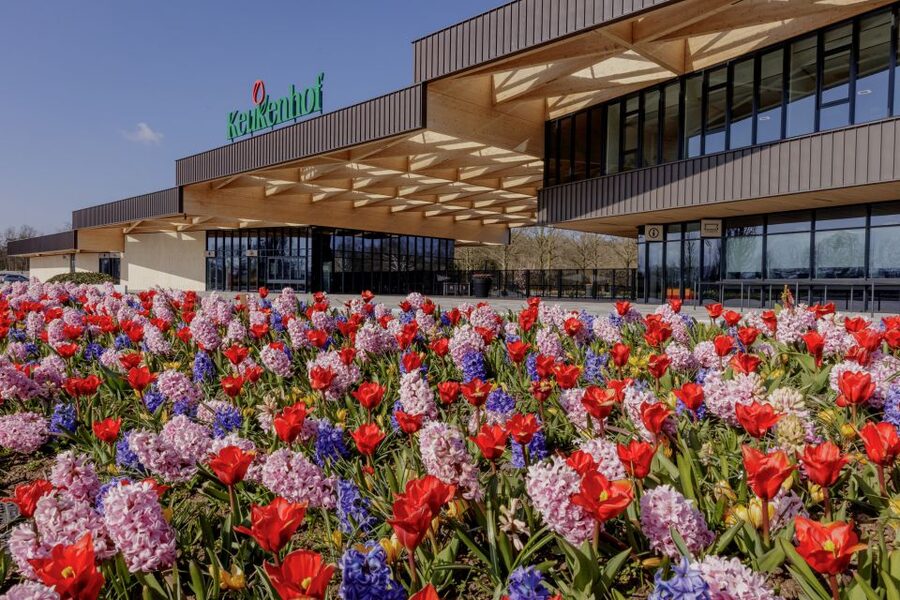 Amsterdam: Half-Day Flower Fields and Keukenhof Bicycle Tour - Biking the Bulb Fields: Easy Pace, Smart Stops, and Real Storytelling