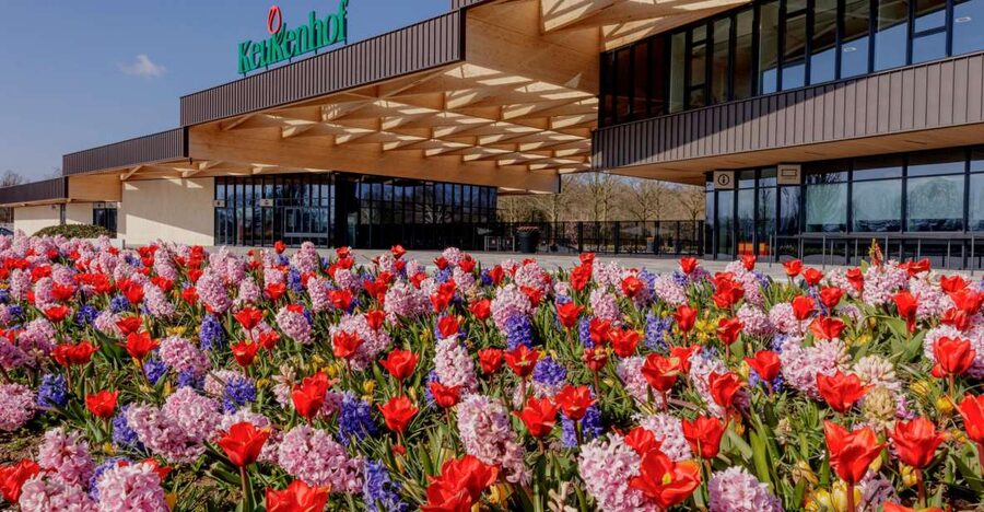 Amsterdam: Half-Day Flower Fields and Keukenhof Bicycle Tour - Amsterdam Central to Hillegom: The Logistics You Can Stop Thinking About