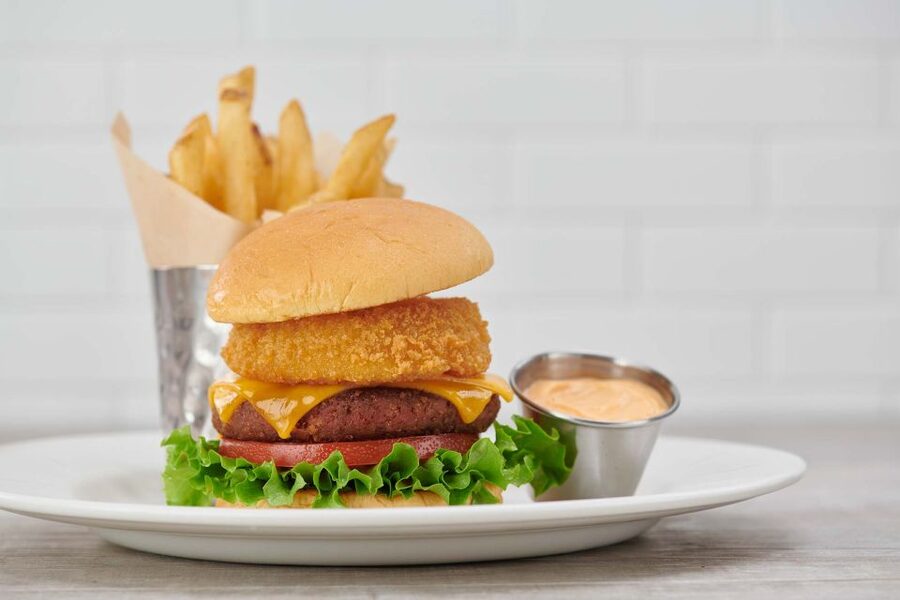 Amsterdam: Hard Rock Cafe Experience - How to Fit This Into Your Amsterdam Day