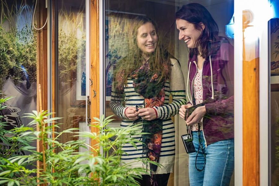 Amsterdam: Hash, Marihuana, and Hemp Museum Entry Ticket - Where to Go in Amsterdam and How the Visit Flows