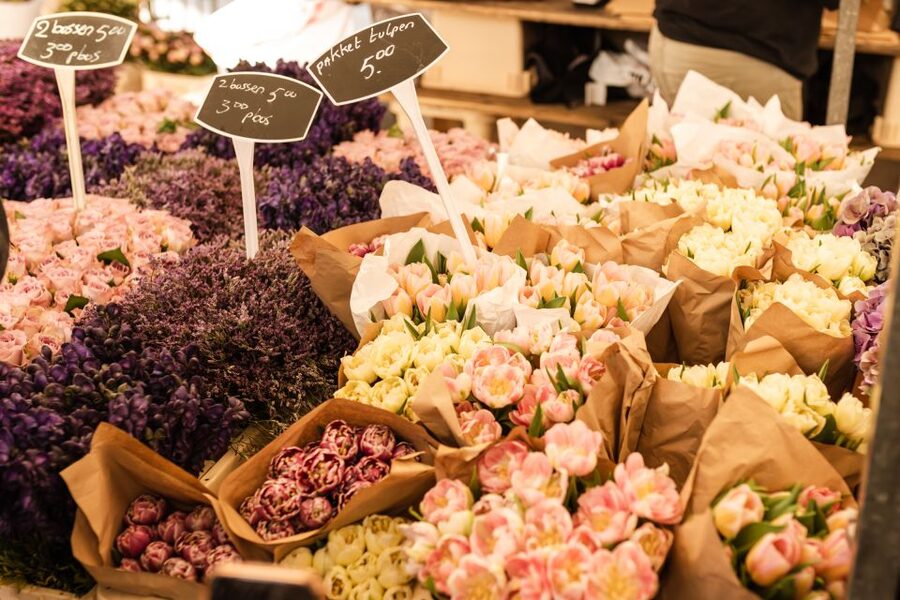 Amsterdam: Highlights & Hidden Gems Private Walking Tour - How long you book changes what you get to do with your guide