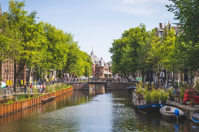 Amsterdam Highlights Small-Group Walking Tour - Dam Square finale: Royal Palace area, Nieuwe Kerk, and where to go next