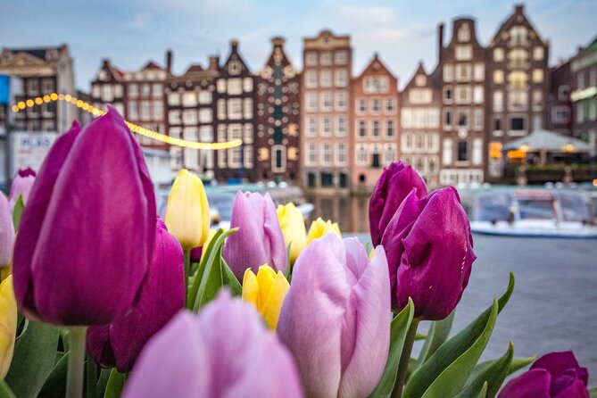 Amsterdam Highlights Walking Tour - Key things I’d watch for