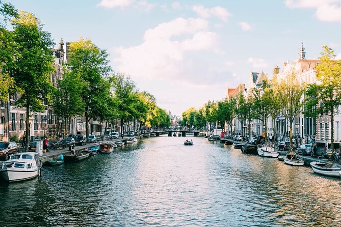 Amsterdam Highlights Walking Tour - Dam Square, Royal Palace Views, and the National Monument as Your Starting Point