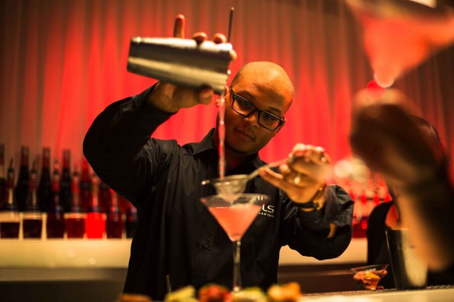 Amsterdam: House of Bols Entry Ticket and Nightlife Ticket - Who This Combo Pass Suits Best