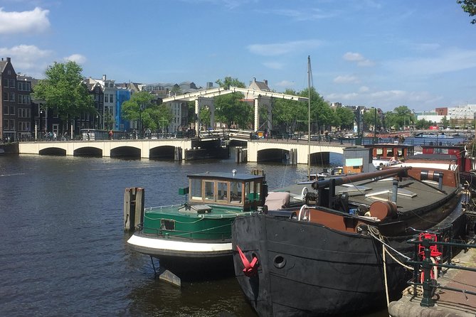 Amsterdam in a Nutshell 4 Hour Private Car Tour and Amsterdam Born Private Guide - Why Amsterdam in a Nutshell works better from a car