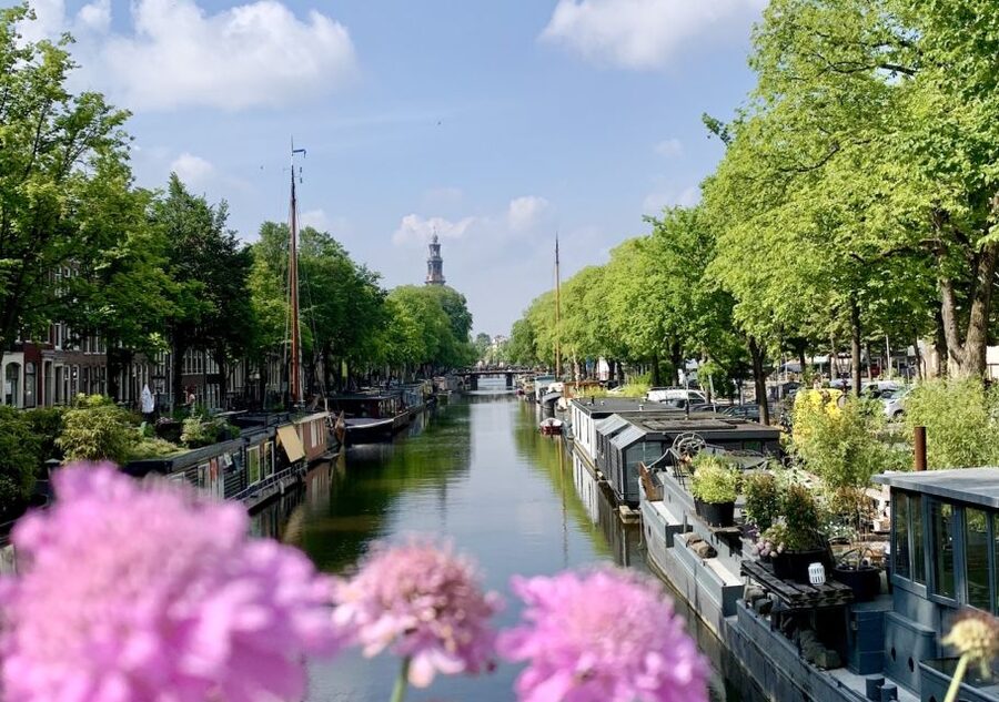 Amsterdam: Jordaan District Tour with a German guide - Price and Value: Is $27 a Good Deal Here?