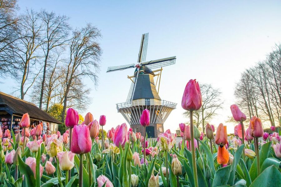 Amsterdam: Keukenhof and Zaanse Schans Live Guided Day Tour - Keukenhof Gardens: the 45-minute guide plus 3.5 hours to roam