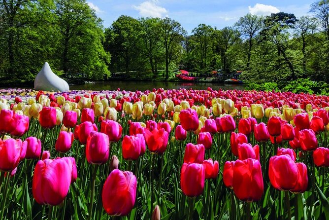 Amsterdam: Keukenhof Entry & Shuttle Bus with Flexible Return - Price and Value: Why This $42.33 Plan Works for Many Budgets