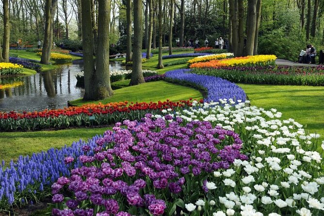 Amsterdam: Keukenhof Entry & Shuttle Bus with Flexible Return - The Luxury Coach Ride to Keukenhof, and What the 40-Minute Trip Really Feels Like