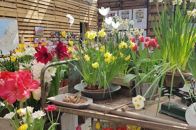 Amsterdam : Keukenhof FlowerFarm Privatetour Skip-The-Line ticket - Time plan for a 5 to 6 hour private day