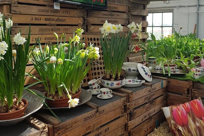 Amsterdam : Keukenhof FlowerFarm Privatetour Skip-The-Line ticket - Final verdict: should you book this private Keukenhof and tulip farm tour?