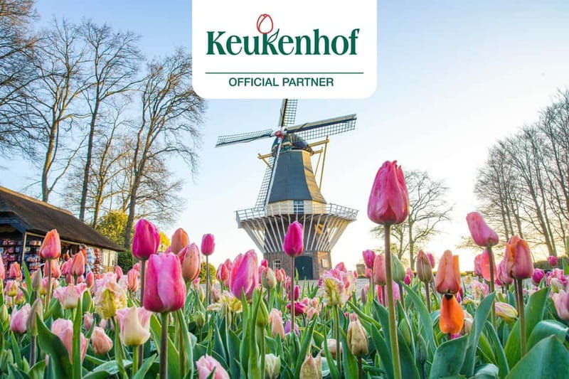 Amsterdam: Keukenhof Ticket and Roundtrip Shuttle Transfer - Key takeaways before you go