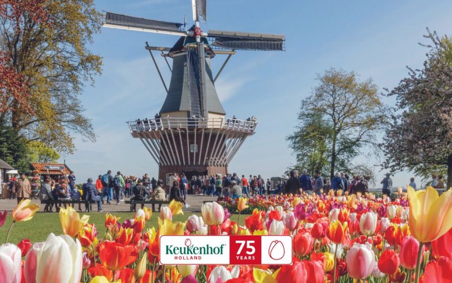 Amsterdam: Keukenhof Ticket and Roundtrip Shuttle Transfer - Value check: is $40 worth it?