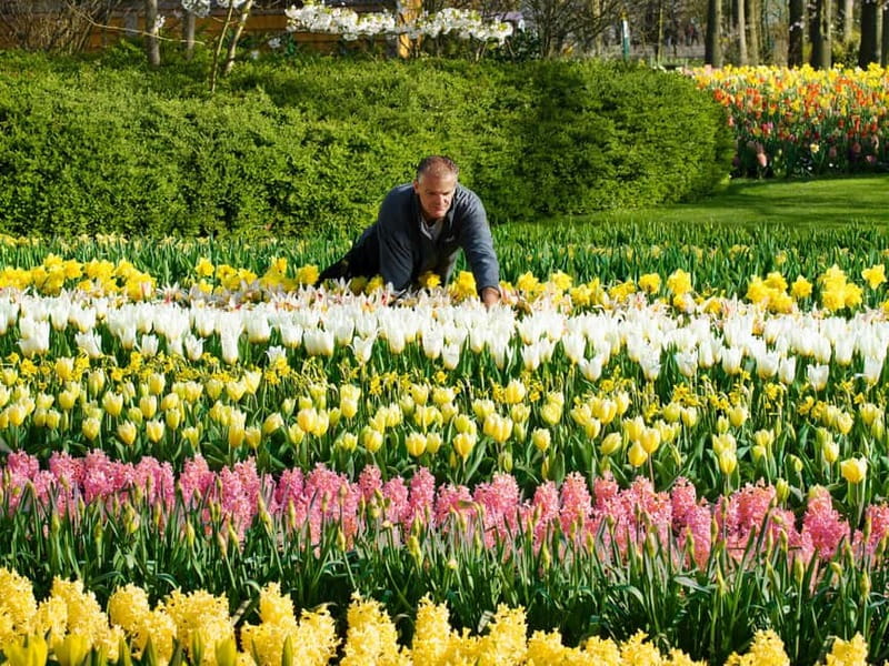 Amsterdam: Keukenhof Ticket and Roundtrip Shuttle Transfer - Meeting at This is Holland: the easiest start