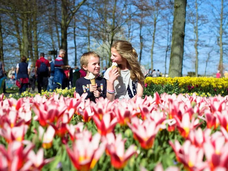 Amsterdam: Keukenhof Ticket and Roundtrip Shuttle Transfer - The shuttle ride: comfort plus real schedule control