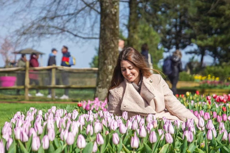 Amsterdam: Keukenhof Ticket and Roundtrip Shuttle Transfer - How hop-on hop-off works in practice