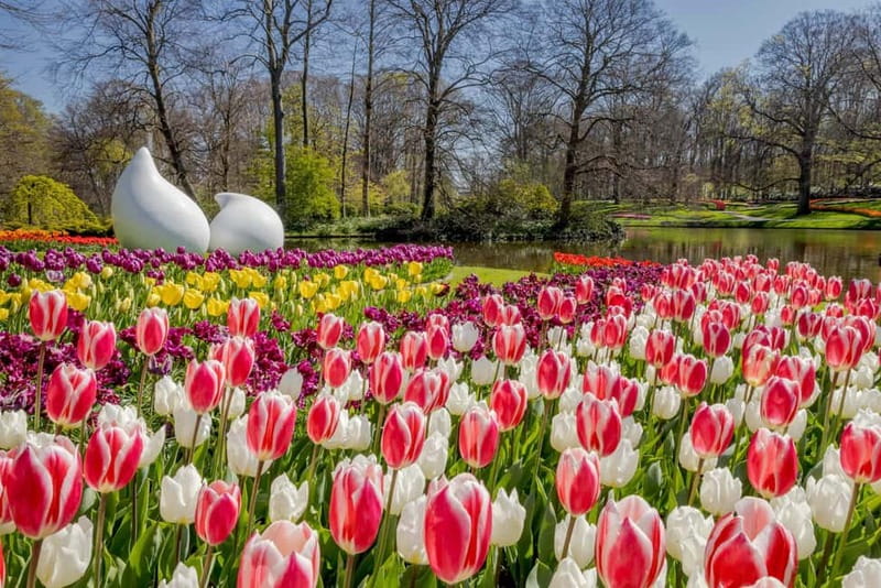 Amsterdam: Keukenhof Ticket and Roundtrip Shuttle Transfer - Keukenhof gardens: where your day actually happens