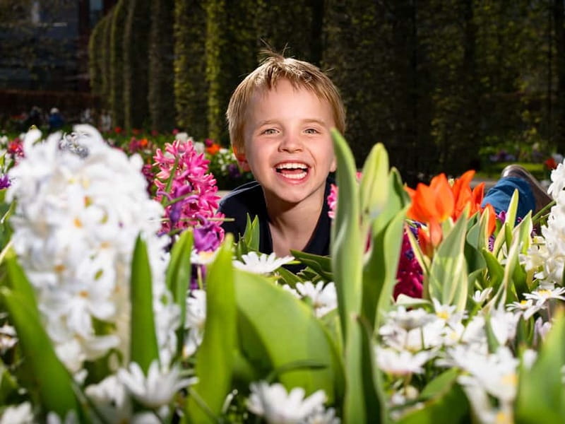 Amsterdam: Keukenhof Ticket and Roundtrip Shuttle Transfer - Crowds and lines: what to expect, and how to handle it