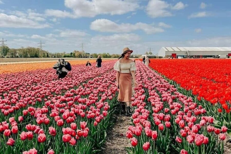 Amsterdam: Keukenhof, Tulip Farm Full-Day Tour with Cruise - From Amsterdam to Keukenhof, what this day is really like