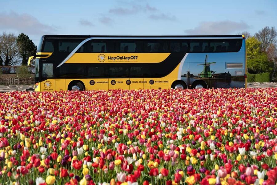 Amsterdam: Keukenhof, Tulip Farm Full-Day Tour with Cruise - Price and value: what you are paying for at $96
