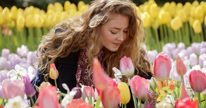 Amsterdam: Keukenhof, Tulip Farm Full-Day Tour with Cruise - Meeting at This is Holland, and why the ferry shortcut matters