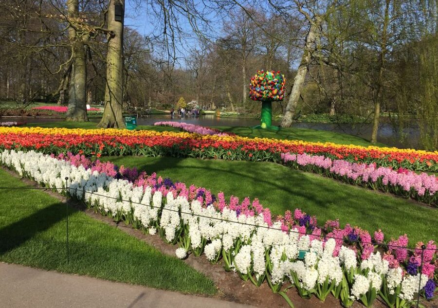Amsterdam: Keukenhof Tulip Garden and Giethoorn Experience - Windmill Views and Photo Stops You Should Actually Use