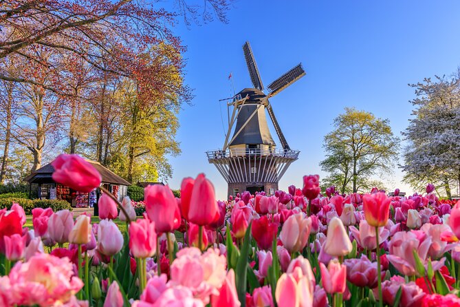 Amsterdam: Keukenhof, Zaanse Schans & Volendam Tour - Key points worth knowing before you go