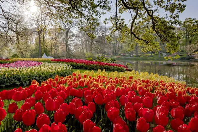 Amsterdam: Keukenhof, Zaanse Schans & Volendam Tour - Price and logistics: what $83 buys, and what can trip you up