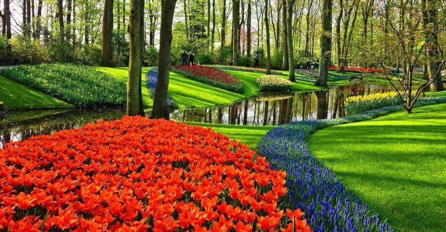 Amsterdam: Keukenhof & Zaanse Schans Windmills Private Tour - Zaanse Schans: Windmills, Crafts, and Wooden Houses That Feel Like a Set