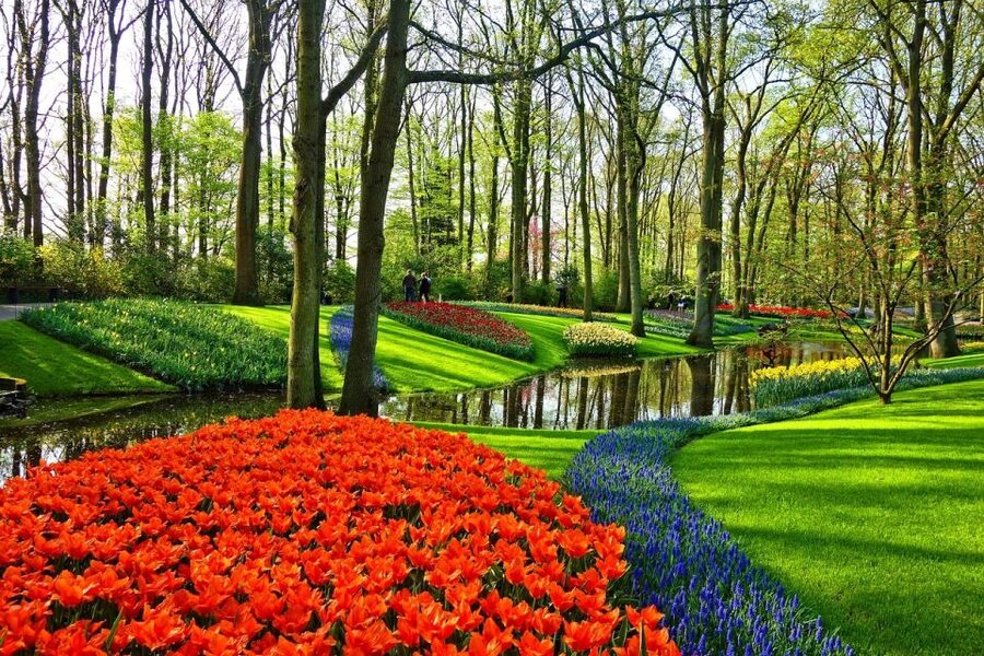 Amsterdam: Keukenhof & Zaanse Schans Windmills Private Tour - Henri Willig Kaas BV: Cheese Tasting as a Smart Midday Reset