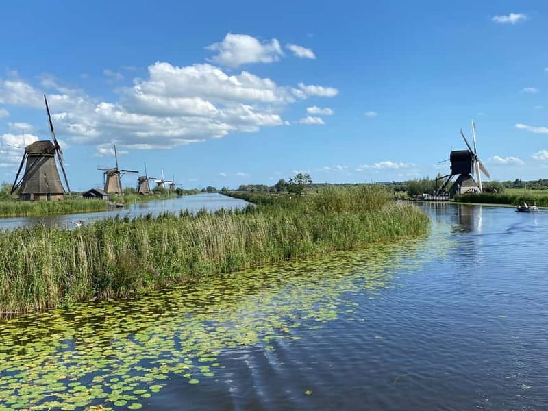 Amsterdam: Kinderdijk, Euromast, Delft and Den Haag Day Tour - Price and logistics: what $152 really buys