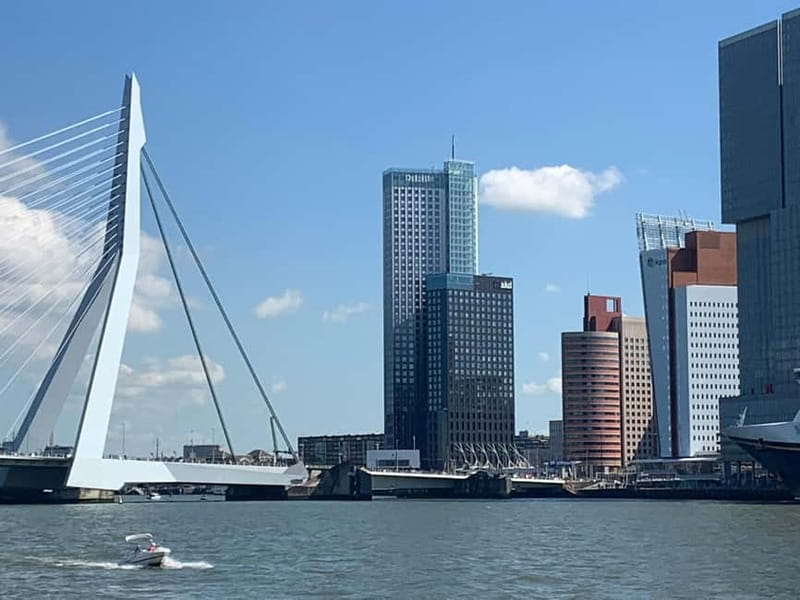 Amsterdam: Kinderdijk, Euromast, Delft and Den Haag Day Tour - Transit time matters: expect a full day, not a quick hop
