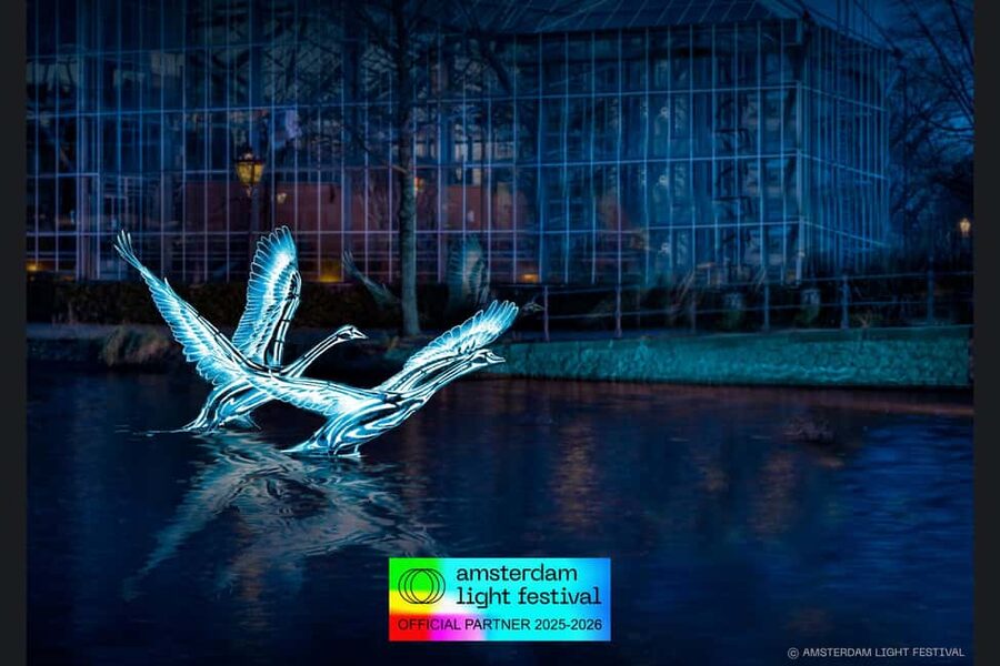 Amsterdam: Light Festival Heated Cruise with Drinks Option - Key highlights to look for