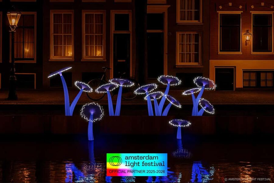 Amsterdam: Light Festival Heated Cruise with Drinks & Snacks - What the Guide Actually Does (Beyond Saying Facts)