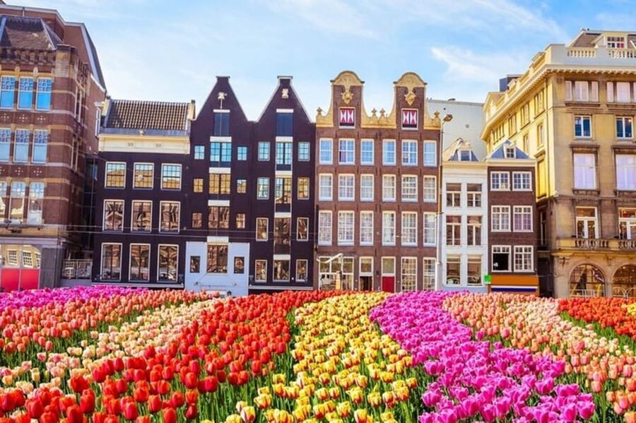 Amsterdam: Must-See Attractions Guided Walking Tour - Portuguese Synagogue and Nieuwmarkt Square for a shift in vibe