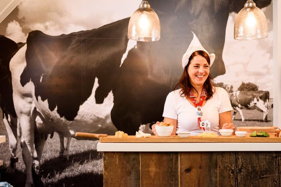 Amsterdam: Premium Henri Willig Cheese Tasting Experience - Key highlights worth planning around