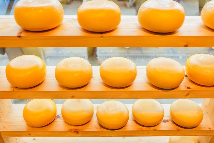 Amsterdam: Premium Henri Willig Cheese Tasting Experience - Who should book this tasting, and who should think twice