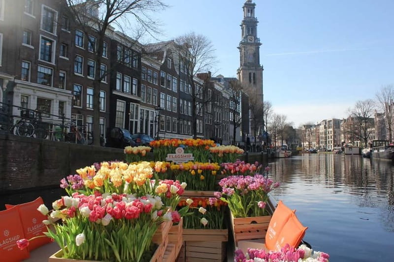 Amsterdam: Premium Tulip Boat Canal Tour - Key Points I’d Prioritize Before You Book