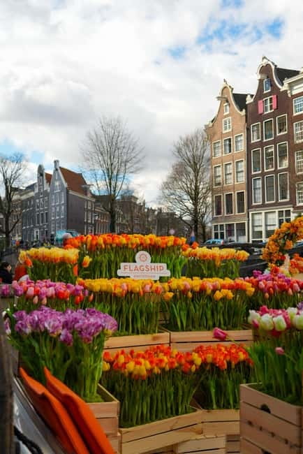 Amsterdam: Premium Tulip Boat Canal Tour - Lifelike Tulips Around You, Not Just Behind You
