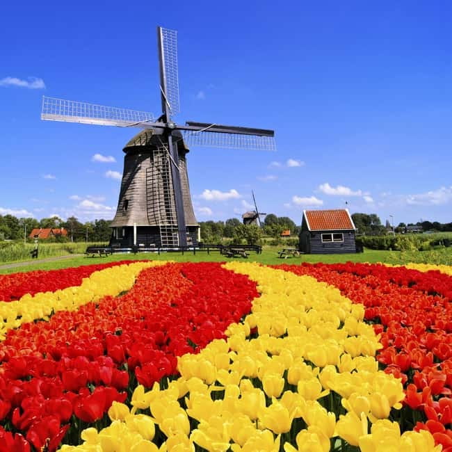 Amsterdam: Private Keukenhof and Free Tulip Tour - The Lisse Photo Stop and the Free Tulip Fields Add-On
