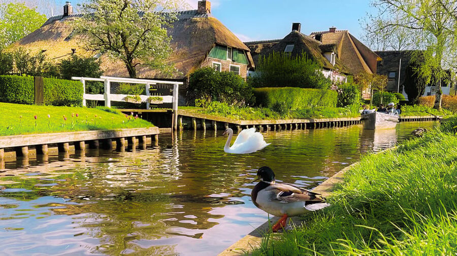 Amsterdam: Private Tour Giethoorn, Zaanse Schans Local Guide - Giethoorn by canal boat: the 3-hour calm that resets your day