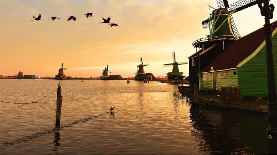 Amsterdam: Private Tour Giethoorn, Zaanse Schans Local Guide - Zaanse Schans windmills: see the machinery, then decide if you want more