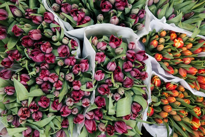 Amsterdam Private Tour: Highlights & Hidden Gems by Bike or Foot - Meeting at Beursplein, then turning highlights into a real route