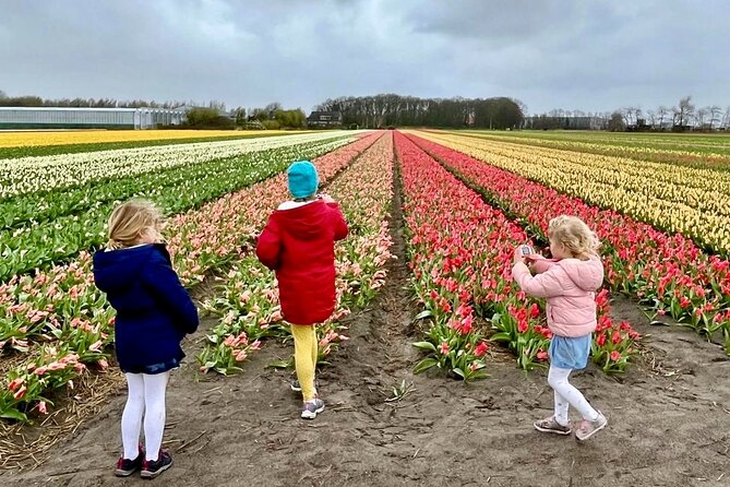 Amsterdam Private Tour to Keukenhof, Tulip Fields and Windmills - Keukenhof tulips: use your 2 hours like a pro