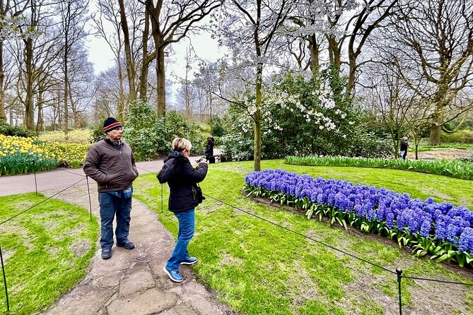 Amsterdam Private Tour to Keukenhof, Tulip Fields and Windmills - Should you book this private Keukenhof, windmills and cheese day?