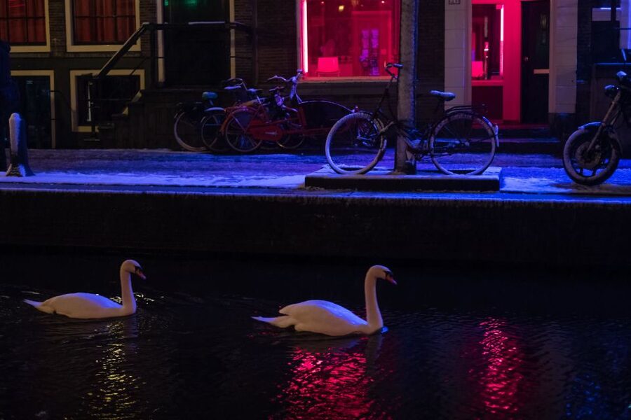 Amsterdam: Red Light District and Coffeeshop Culture Tour - Starting With Netherlands Context Before You Hit the Red Windows